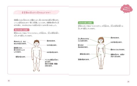 女の子の陰毛|中学生への性教育：女の子の体の変化｜ゆるっと性教